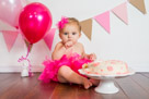 Adelynn's 1st Birthday Party and Cake Smash in Waukesha, WI