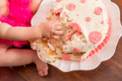 Adelynn's 1st Birthday Party and Cake Smash in Waukesha, WI