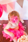 Adelynn's 1st Birthday Party and Cake Smash in Waukesha, WI
