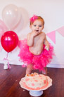 Adelynn's 1st Birthday Party and Cake Smash in Waukesha, WI