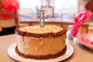 Adelynn's 1st Birthday Party and Cake Smash in Waukesha, WI