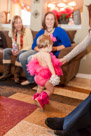 Adelynn's 1st Birthday Party and Cake Smash in Waukesha, WI