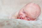 In home newborn portrait photography in Waukesha, WI