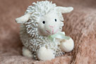 In home newborn portrait photography in Waukesha, WI