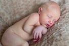 In home newborn portrait photography in Waukesha, WI