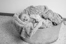 In home newborn portrait photography in Waukesha, WI