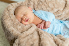 In home newborn portrait photography in Waukesha, WI