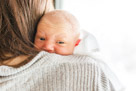 In home newborn portrait photography in Waukesha, WI