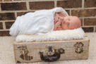 In home newborn portrait photography in Waukesha, WI