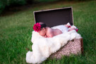 A beautiful infant portrait shoot in Hartland, WI - Randy K Photography